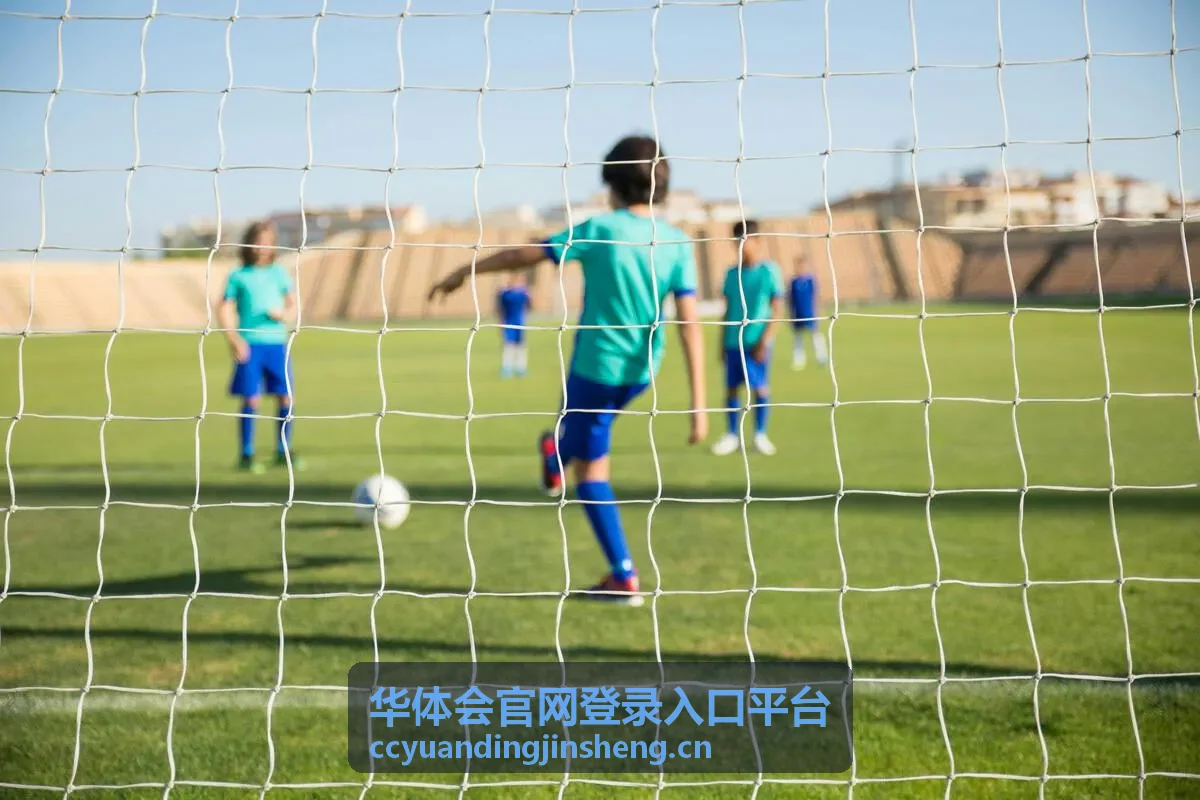 华体会官网登录入口平台账号安全与验证说明图